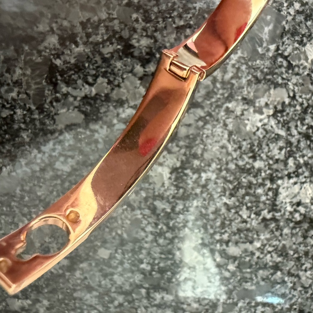 Michael Kors Gold and Brown Bracelet - Picture 8 of 16